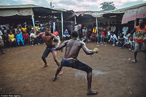 Dambe - the brutal West African form of boxing that is centuries old | Daily Mail Online