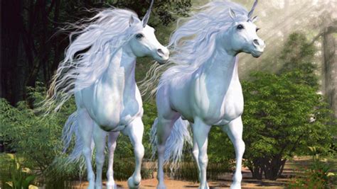 Opinion | The unseen wonders of a two-unicorn race