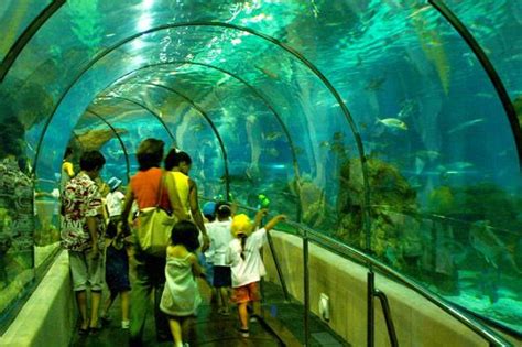 The Barcelona Aquarium is one of the largest and most comprehensive aquariums in all of Europe ...