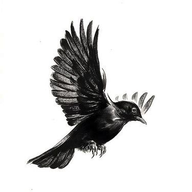 17 Impressive Blackbird Tattoo Designs