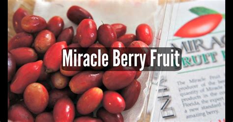 Miracle Berries Side Effects - Wacky Wonderings