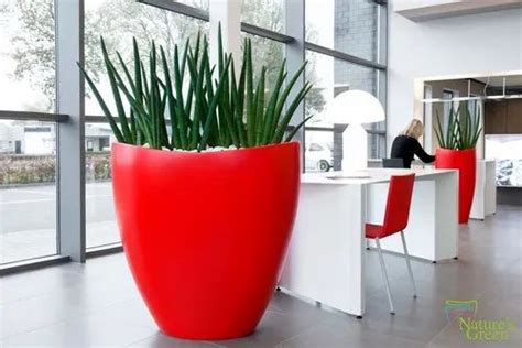 3 Feet White Frp Designer Planters, For Indoor, Size: 4 Feet at Rs 100 ...