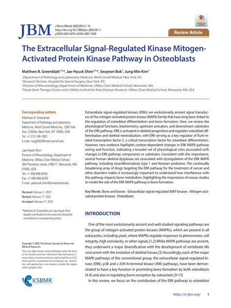 (PDF) The Extracellular Signal-Regulated Kinase Mitogen-Activated Protein Kinase Pathway in ...