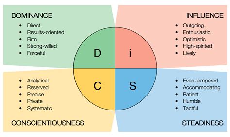 DISC - Homegrown Leadership