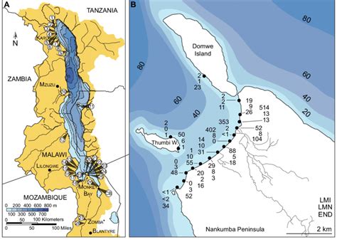 A Map of Lake Malawi and its drainage basin. Numbers on the map... | Download Scientific Diagram