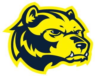 University of michigan mascot Logos