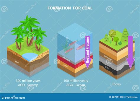 How Coal Is Formed