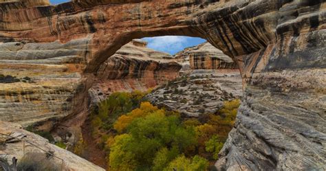 10 Things You Will See At Natural Bridges National Monument