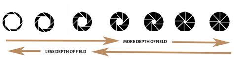 F stop Chart (Aperture Stop Chart) Explained - PhotographyAxis