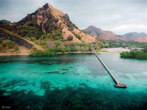 Komodo Half Day Speedboat Tour from Labuan Bajo - Klook Canada