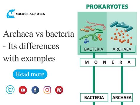 Archaea vs bacteria- Its differences with examples - Microbial notes