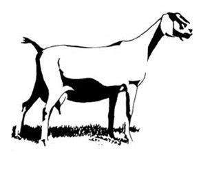 Image result for nubian goat silhouette | Nubian goat, Goat art, Goats