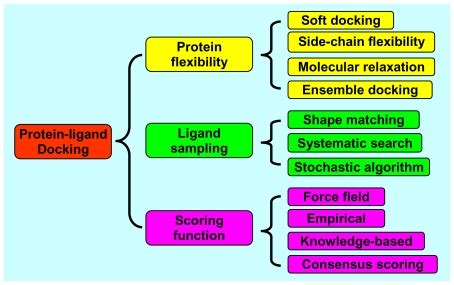 Molecular Docking Scoring Function - About Dock Photos Mtgimage.Org