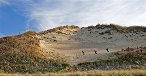 Indiana Dunes Finally Gets Its Due, but Conservationists Are Clamoring ...