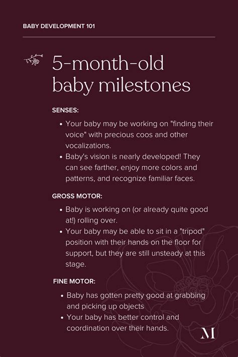 5-Month-Old Baby Milestones - Motherly