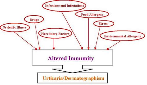 Dermatographism - Definition, Causes, Manifestations, Treatment