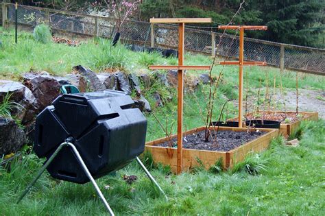 raspberry bed | Growing raspberries, Raspberry, Cold frame raised bed