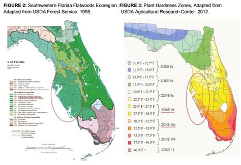 soil – Local Abundance