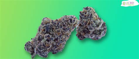 Top 10 Benefits Of Lava Cake Strain In 2021 - TheCBDMagazine