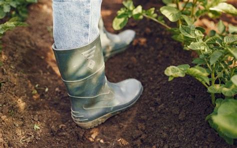 The 11 Best Gardening Shoes in 2024 - shelf