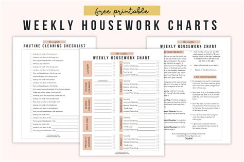 Free Printable Chore Chart For Adults (And Cleaning Checklist) (2024)