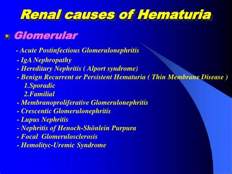 PPT - HEMATURIA PowerPoint Presentation - ID:1182331