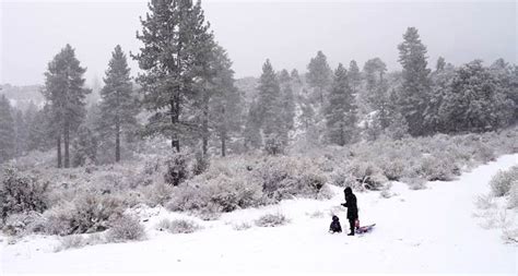 Wrightwood Snow Play | Califoreigners