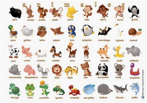 Lengua Espanhola: ANIMALES EN ESPAÑOL