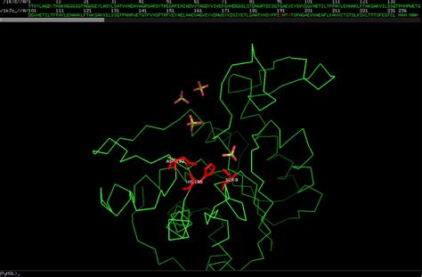 Protein Structure and Visualization Answers - 22111