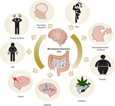 Modulação intestinal na doença de Alzheimer — ANDREIA TORRES