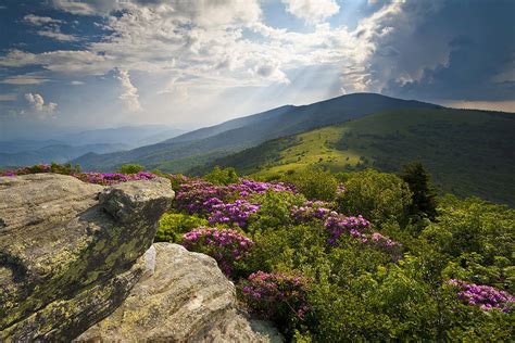 Five Things You Didn't Know About the Appalachian Trail - The-House