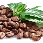 Coffee Beans PNG Clipart | PNG All