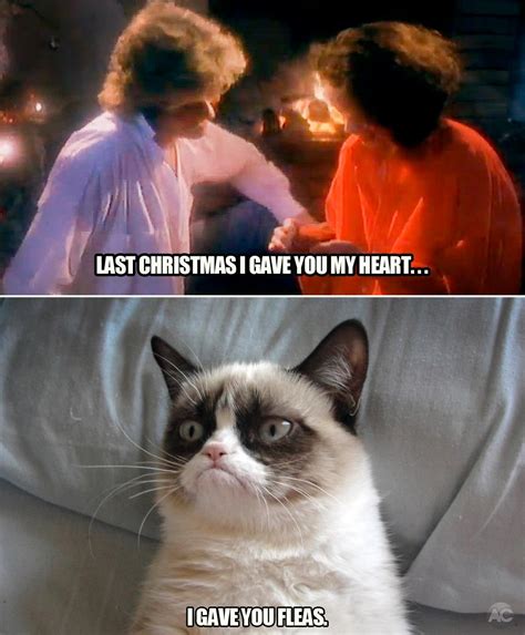 Grumpy Cat With Captions Christmas