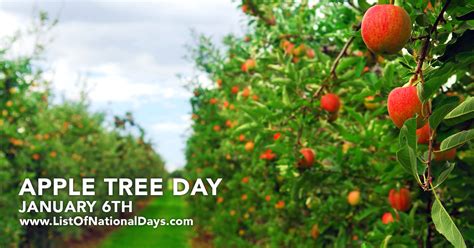 APPLE TREE DAY - JANUARY 6TH