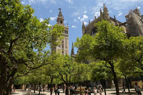 Seville: City Center Walking Tour | GetYourGuide