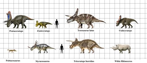 Styracosaurus, Prehistoric animals, Dinosaur facts