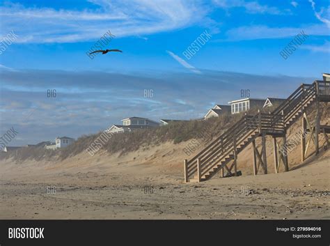 Beach Corolla On Outer Image & Photo (Free Trial) | Bigstock