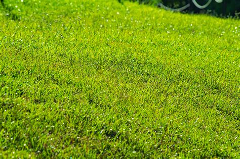 How To Grow Grass on Slopes - Accurate Lawn Leveling