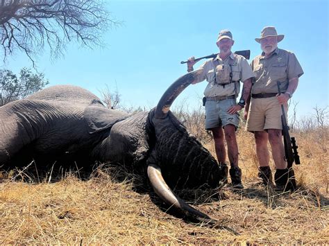 Elephant Hunting | Africa Hunt Lodge | South Africa Hunts