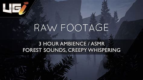 Raw Footage │ Ambience, ASMR │ Forest sounds, Creepy whispering noises ...