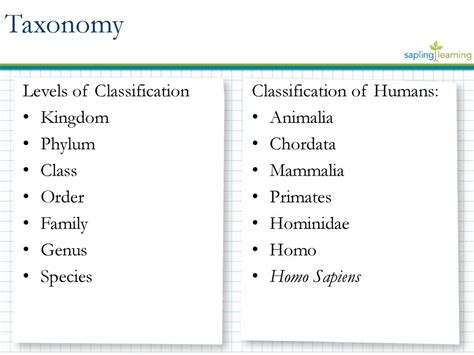 Taxonomy Classification For Humans