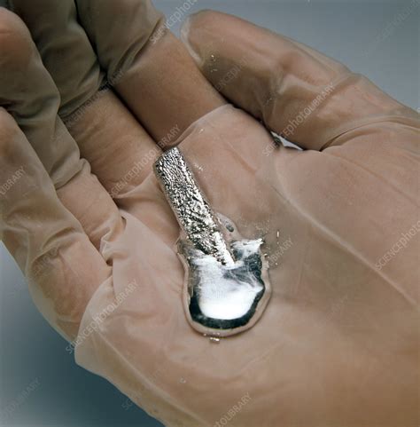 Gallium metal melting - Stock Image - C001/7515 - Science Photo Library