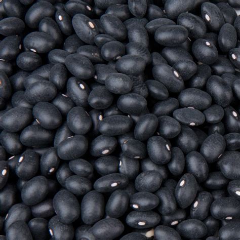 Dried Black Beans - 20 lb.