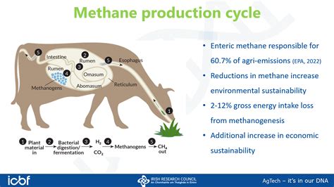 Methane Evaluations - ICBF