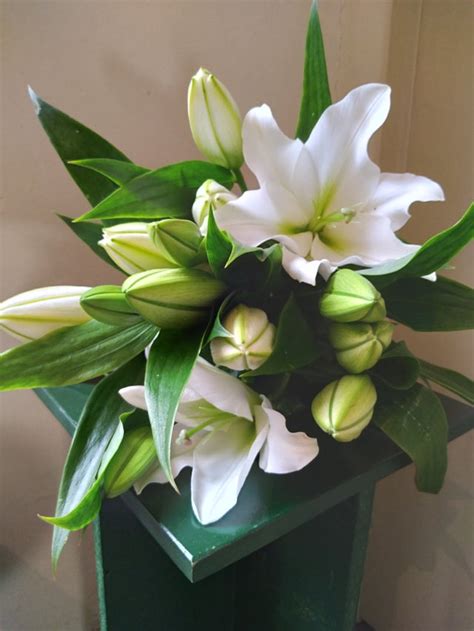 Oriental Lily Bouquet