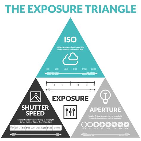 Exposure Triangle: How ISO, Aperture, & Shutter Speed Work Together ...