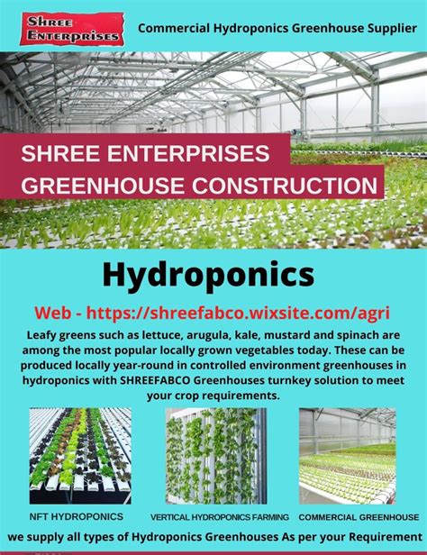 PVC Prefab Commercial Hydroponics Greenhouse at Rs 1240/square meter in ...