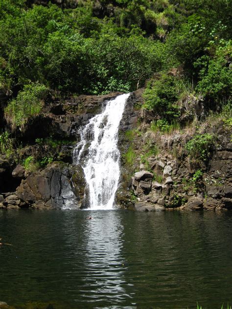 Waimea Falls in Oahu | Hawaii beaches, Waimea falls, Oahu