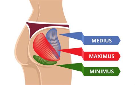 What Is Hip Bursitis? | BIM Sport & Spine Physical Therapy