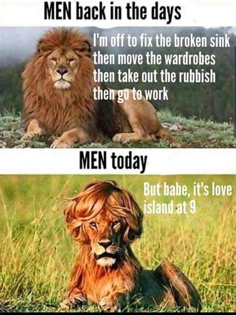 The best lion memes :) Memedroid